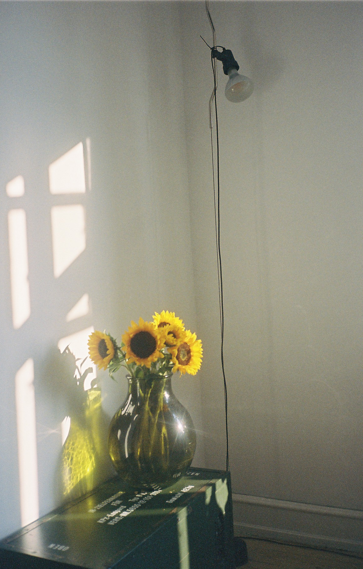 Sunflowers at home
